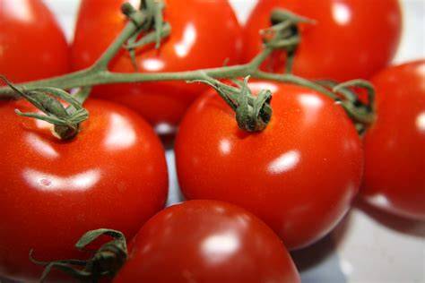 Tomatoes